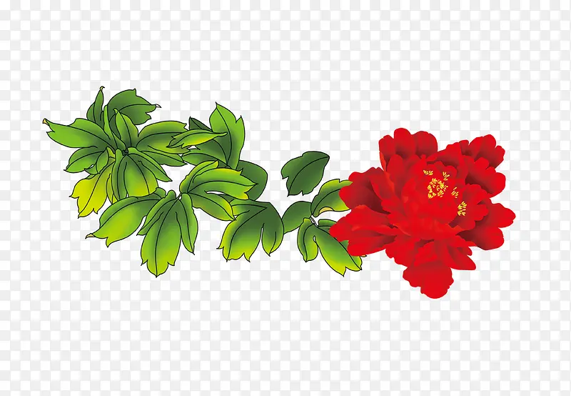 红色花朵