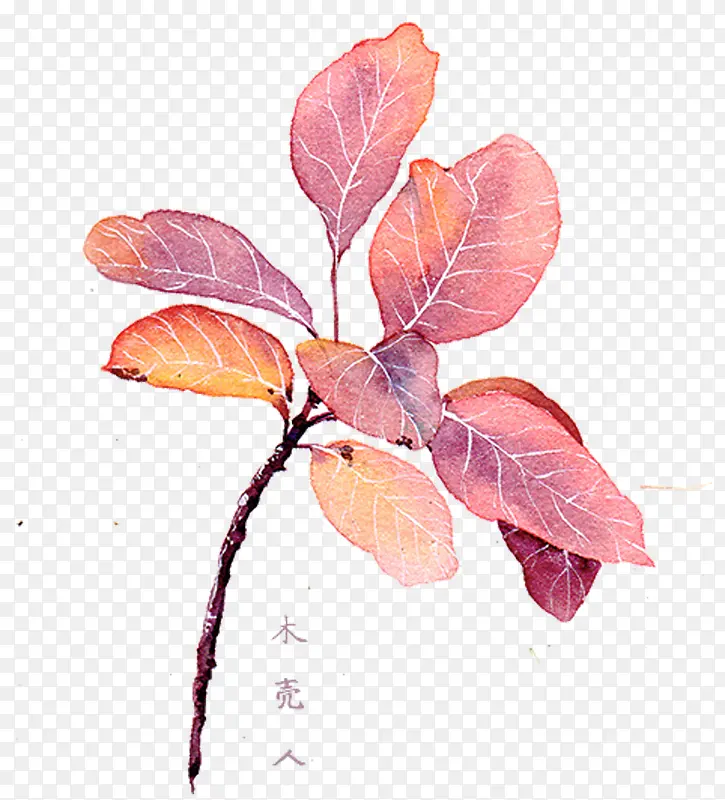 粉色叶子插画