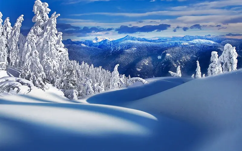 蓝色天空雪山雪树