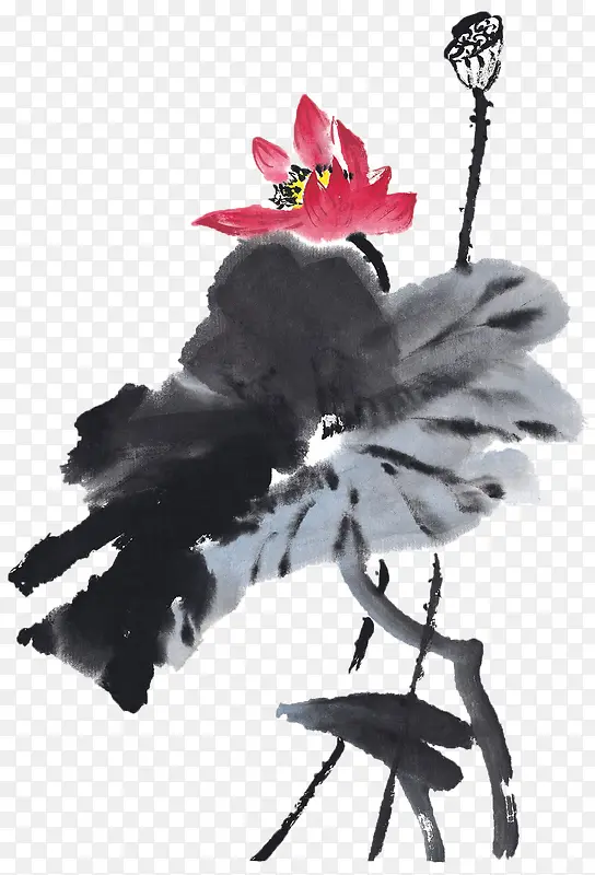 水墨画荷花
