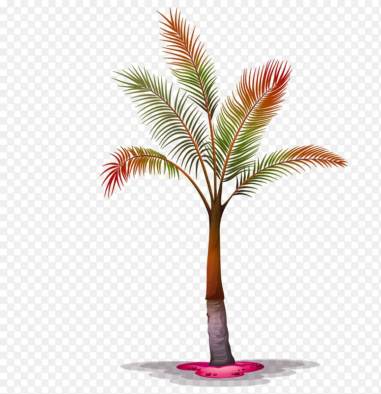 彩色的热带植物装饰