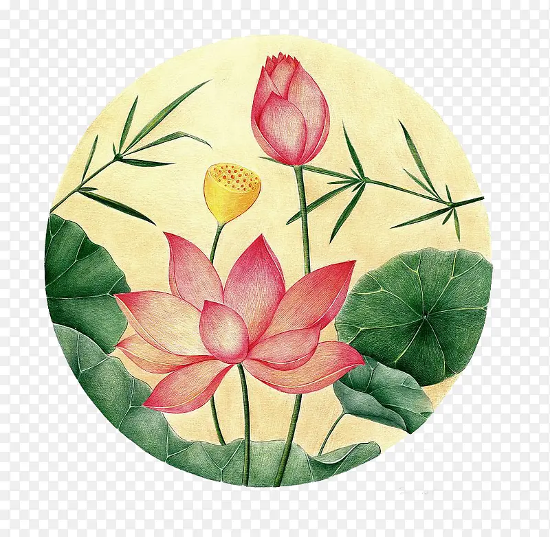 手绘荷花插画PNG图片素材下载_图片编号yarpzlod-免抠素材网