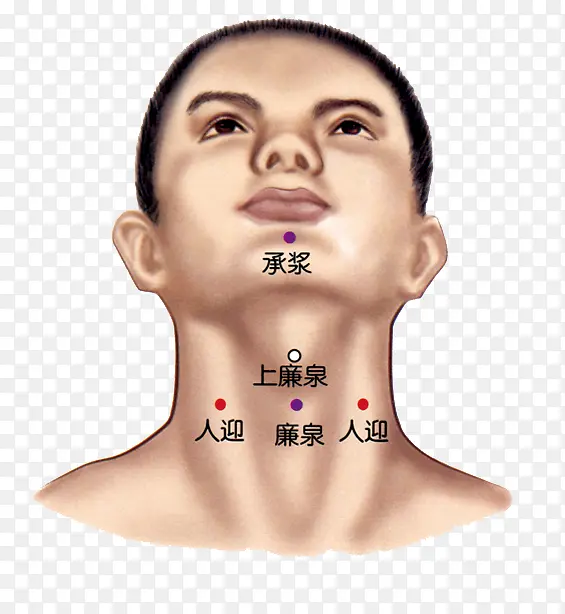 人体正面脖子下巴穴位