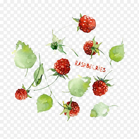 卡通树莓野果