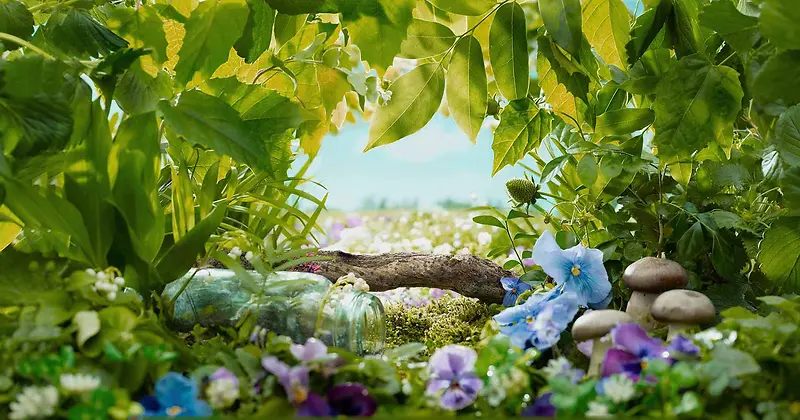 微距植物