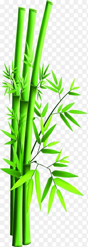 端午节竹子竹叶绿色装饰png图片素材