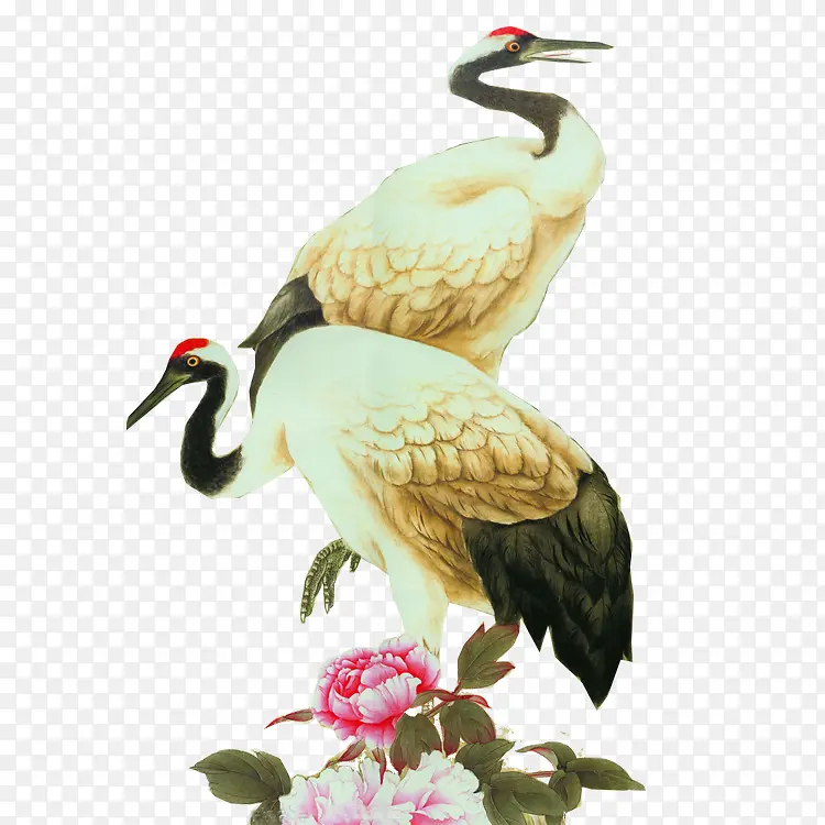 丹顶鹤杜鹃花素材免抠