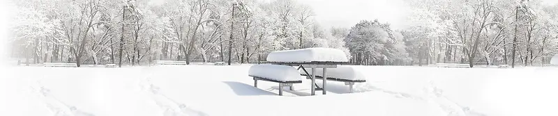 雪景banner创意设计