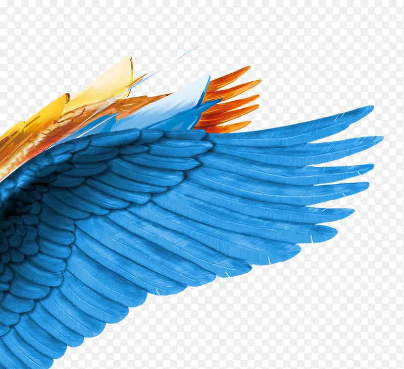 蓝色高清手绘羽毛翅膀素材图