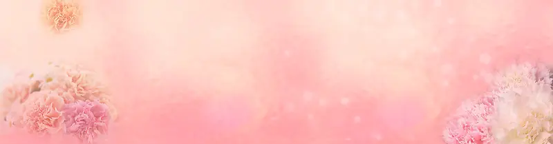 女装背景banner