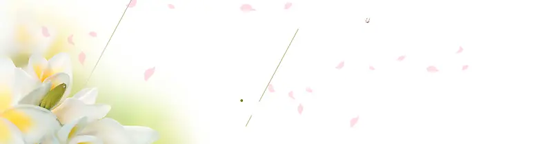 清新背景banner