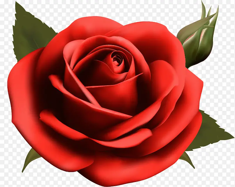 手绘玫瑰花装饰图案