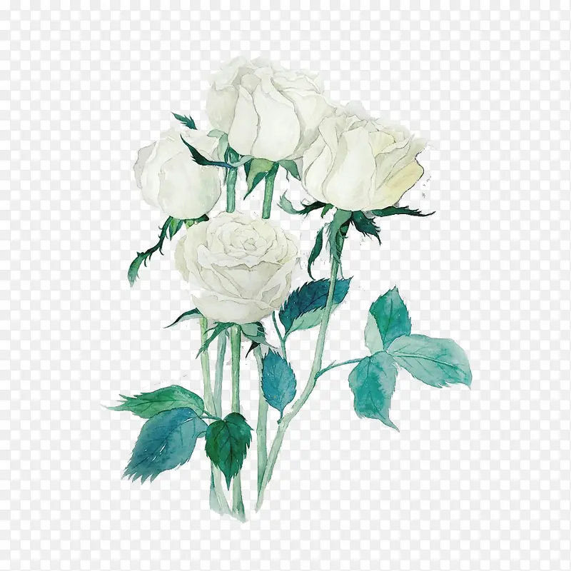 白色玫瑰花免抠素材