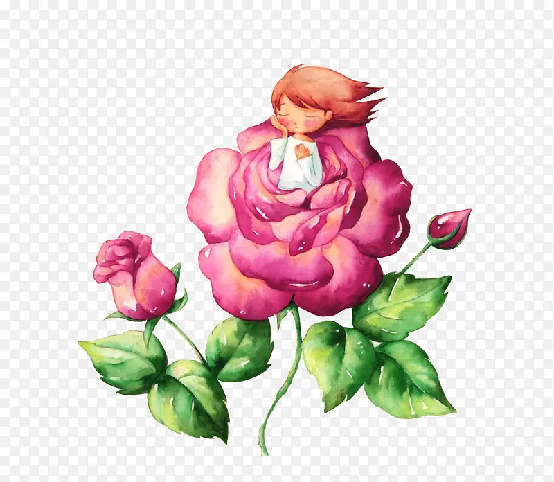 玫瑰花与女孩图片素材