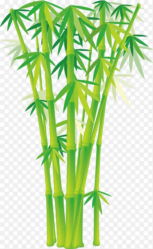 竹子绿色