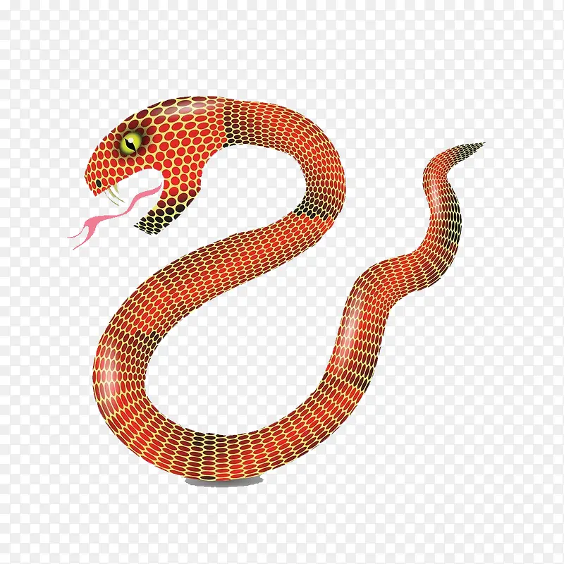 彩色红点蛇