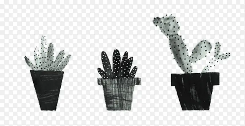 仙人掌盆栽黑白手绘图