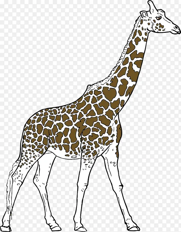 高大的长颈鹿
