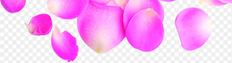 粉色花瓣主题减肥宣传单页