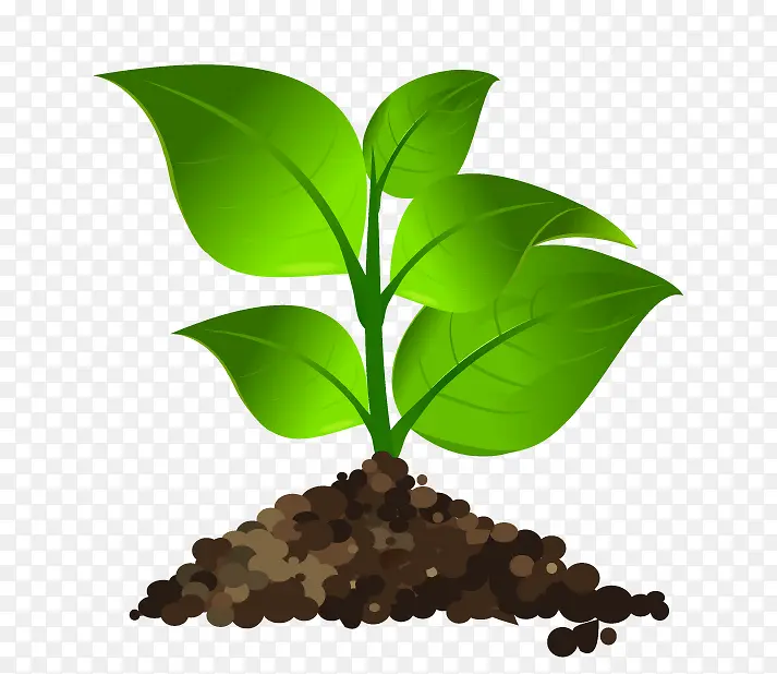 种植绿叶PNG图片素材下载_图片编号ykpdlnvn-免抠素材网
