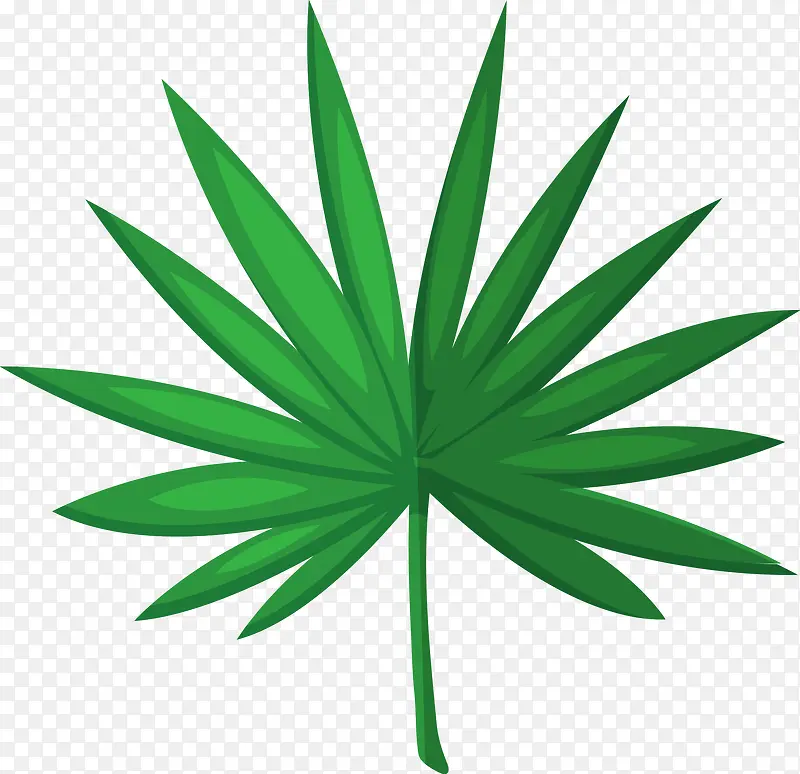 创意绿色棕榈叶植物图