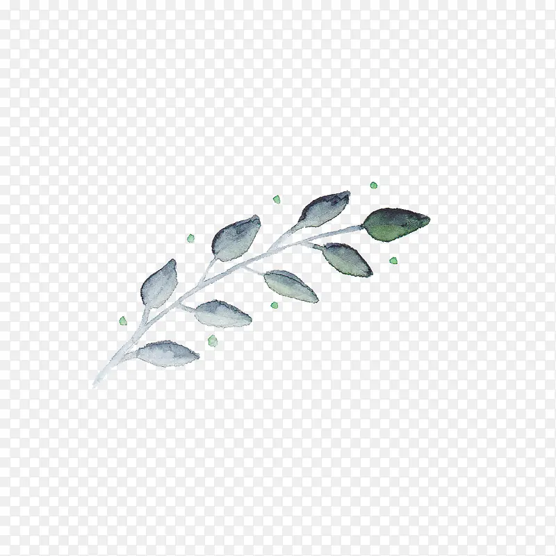 花藤
