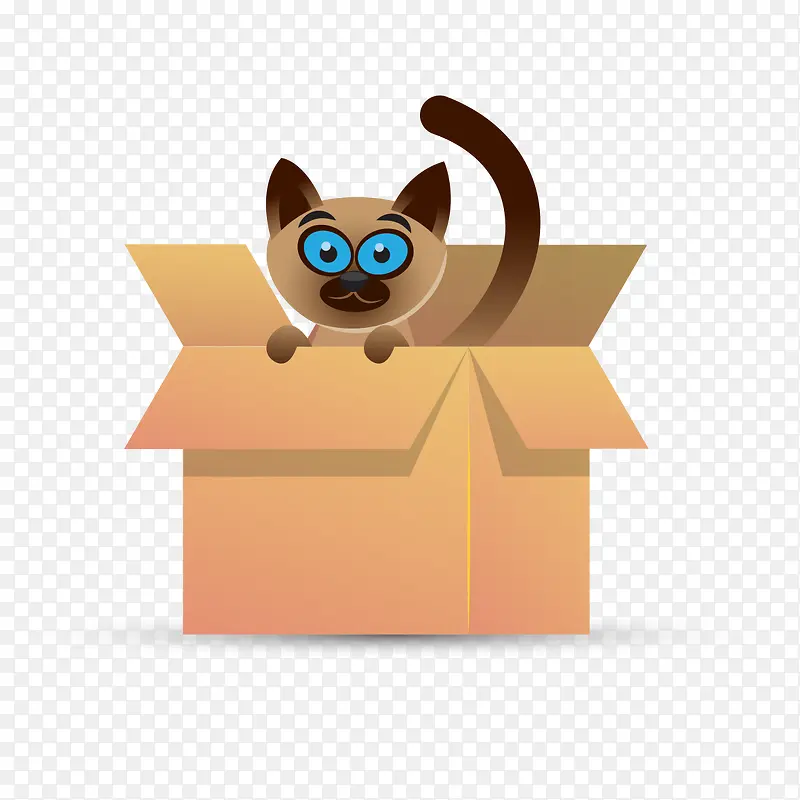 纸箱里的小猫咪