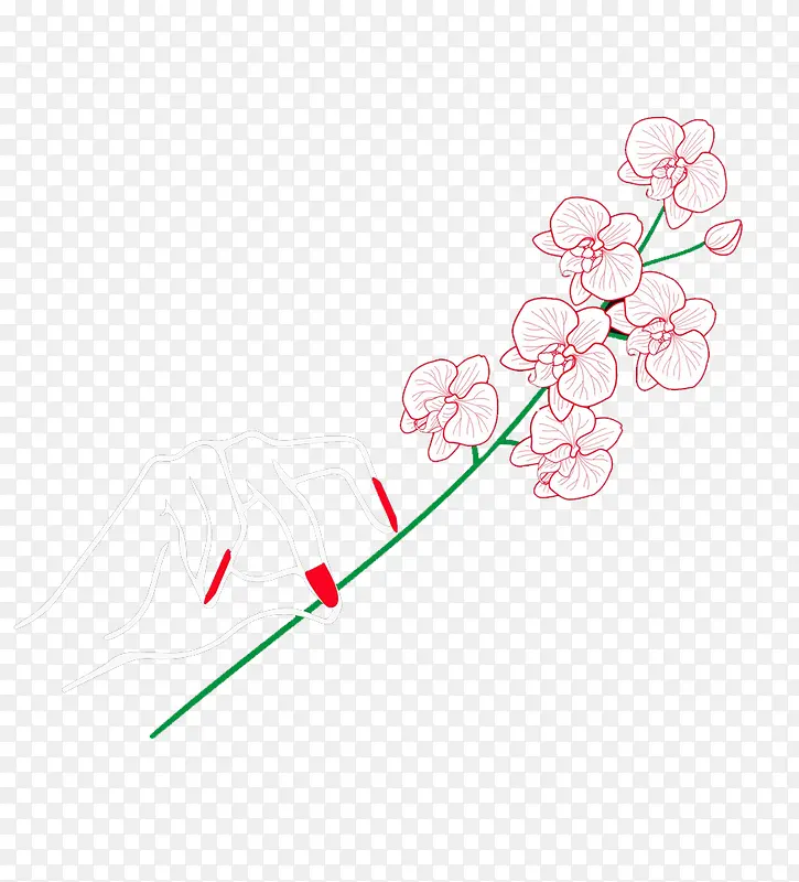 粉色鸢尾花