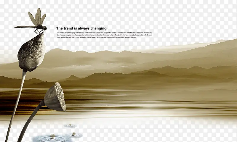 中国风海报设计沙漠荷花