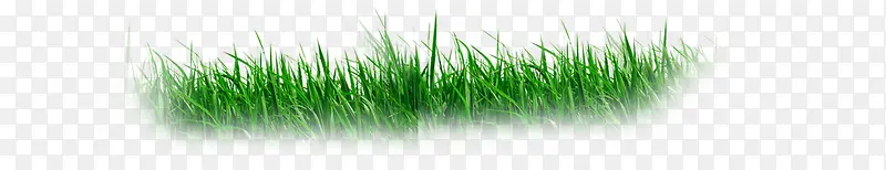 创意合成绿色的小草草地
