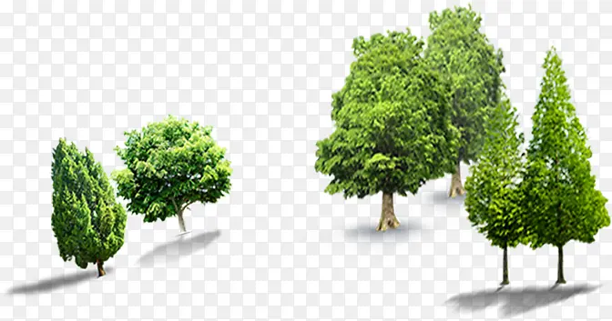 合成摄影园林设计绿色的大树