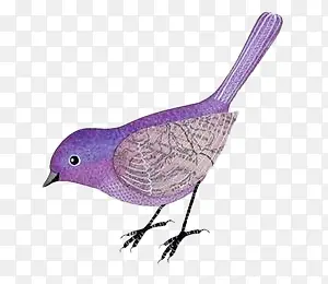手绘紫色低头的小麻雀