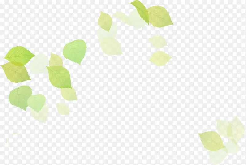 清新漂浮绿色夏季透明树叶