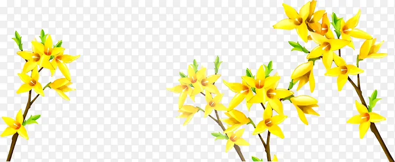 黄色卡通迎春花花朵