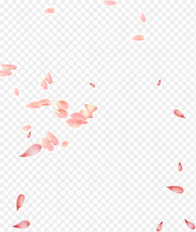 落下的花瓣