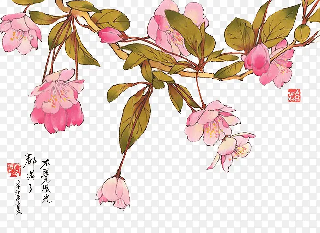 国画红杏