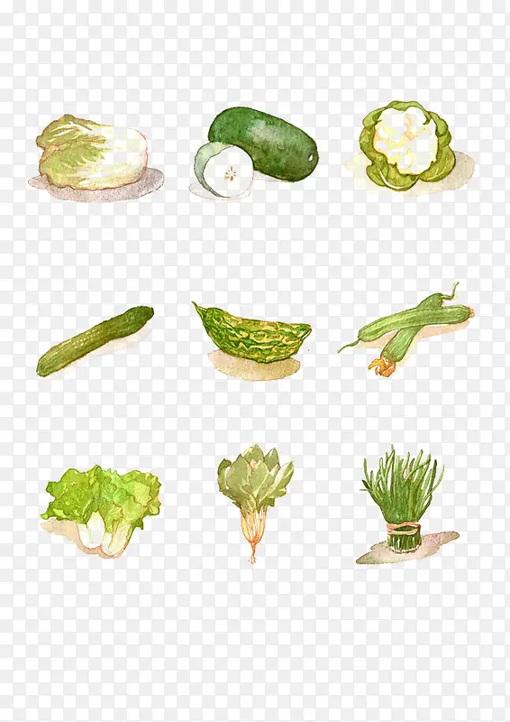 蔬菜元素