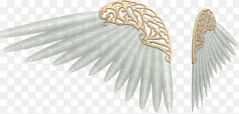 白金翅膀