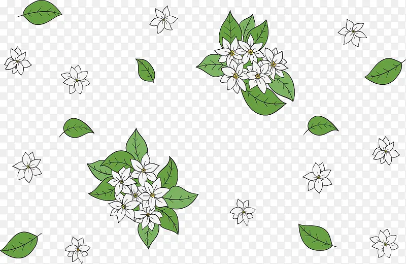 手绘白色花朵