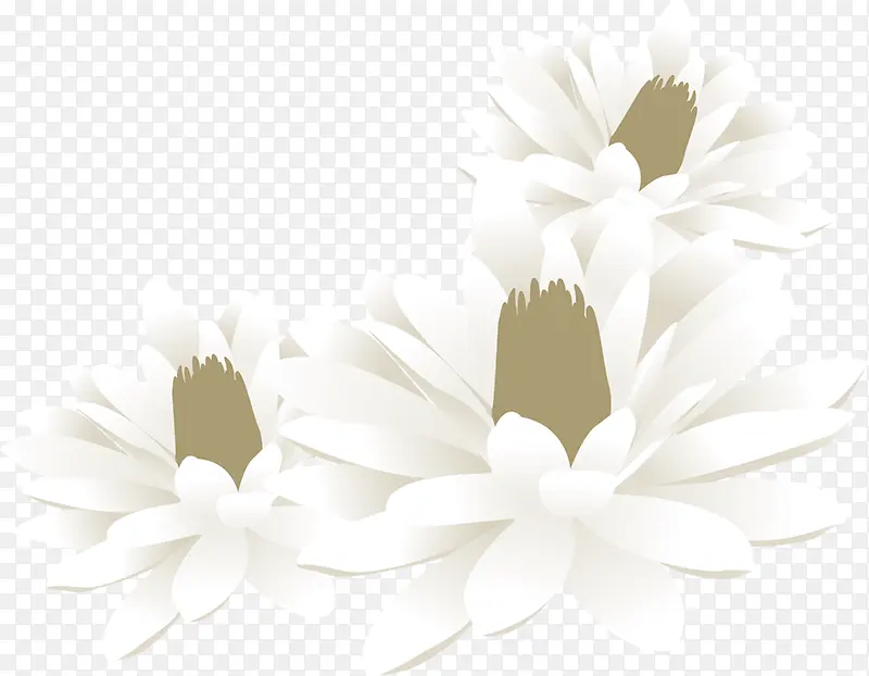 白色唯美水彩花朵立体