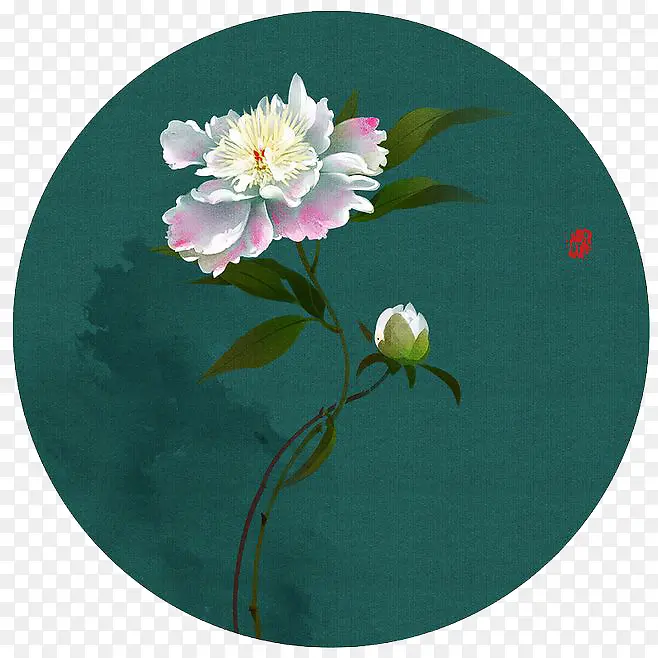 水彩荷花