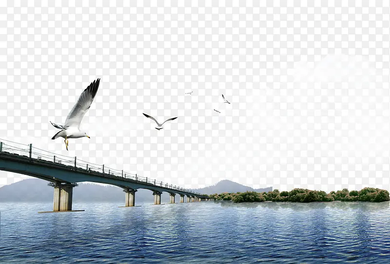 跨海大桥平面装饰
