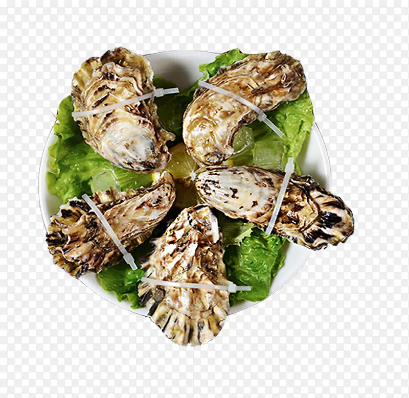 法国进口海蛎