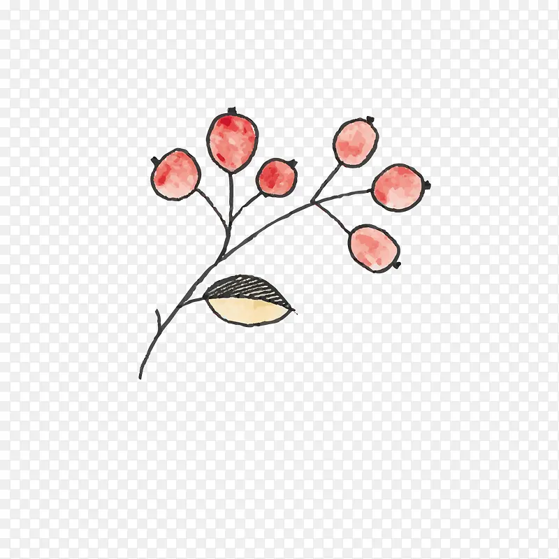 果实
