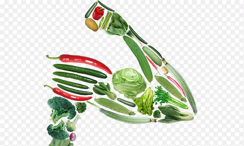 蔬菜肌肉形象