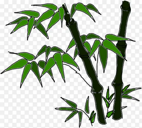 手绘绿色希望竹子生长
