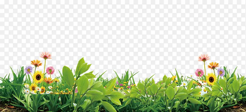 各种各样的春天的绿色植被