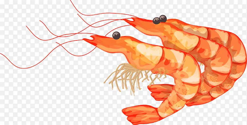 水彩手绘红色大虾