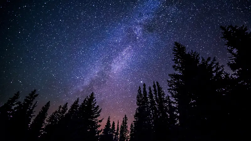 松林景观星空银河唯美图