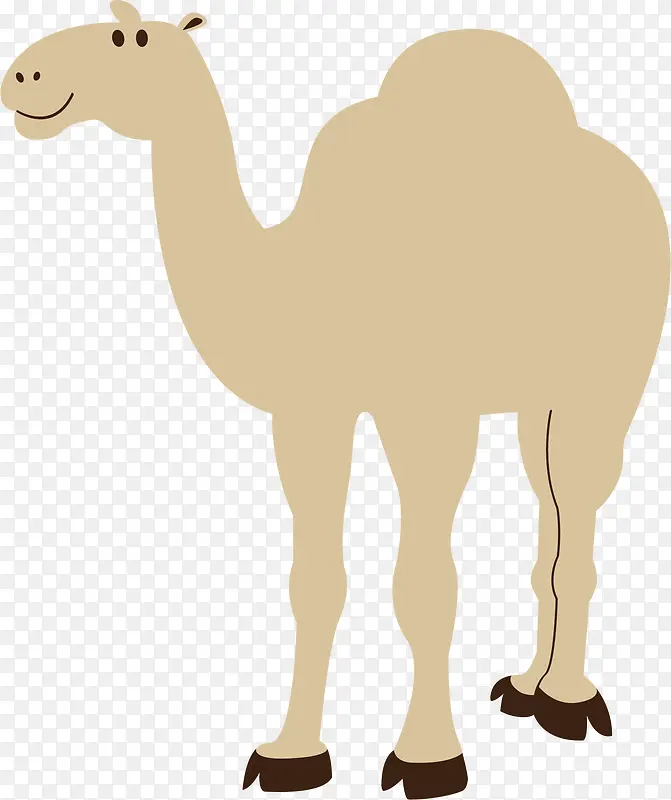 矢量骆驼设计元素
